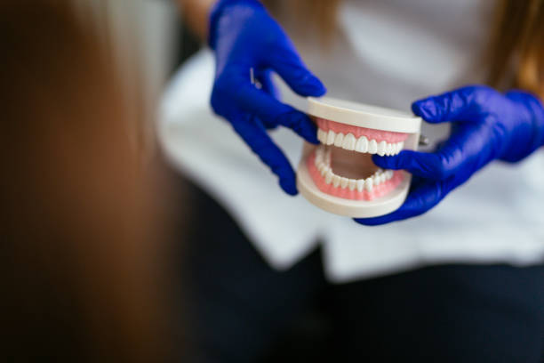 Pipestone, MN Holistic Dental Care Services Company